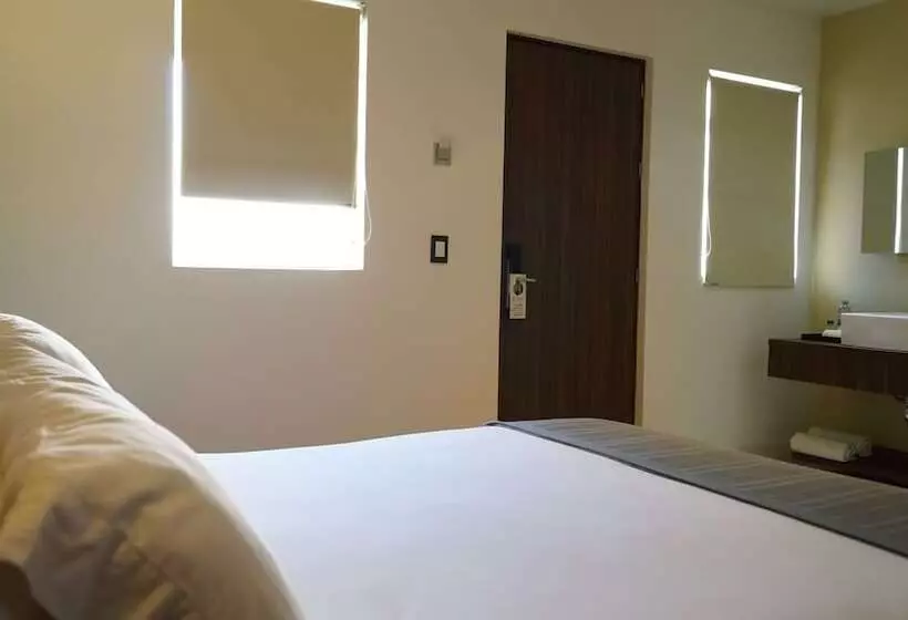 スタンダードルーム, El Hotel Business Class   Zamora Centro