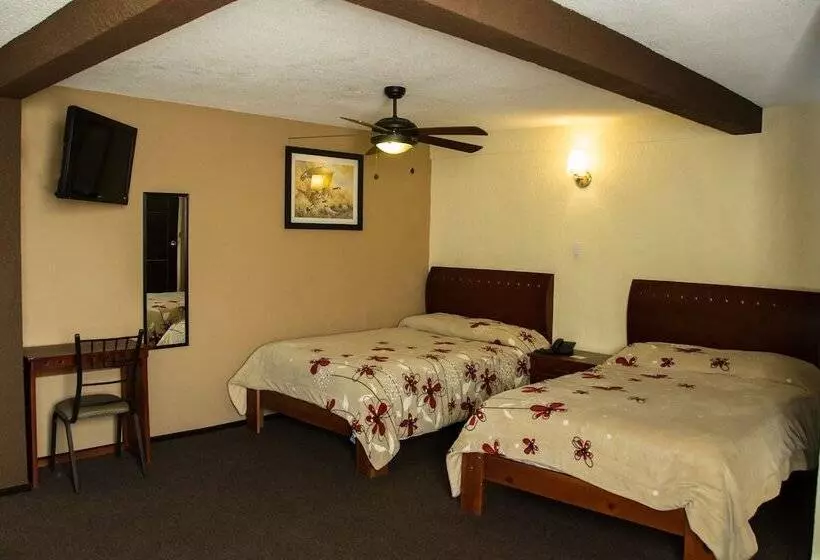 اتاق استاندارد, Rincon Real Suites