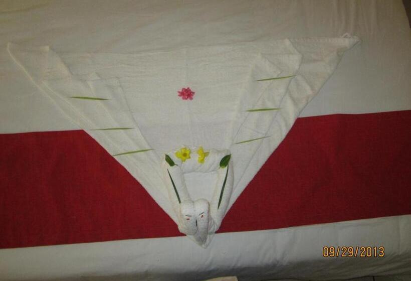 四人标准间, Tradicional Savaro Sa De Cv