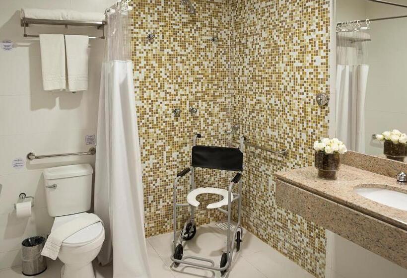 身障者適用スタンダードルーム, Tryp By Wyndham Varginha Cafe Royal