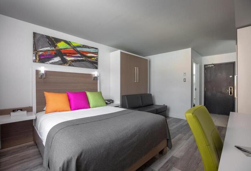 חדר אקזקיוטיב עם מיטת קווין, V