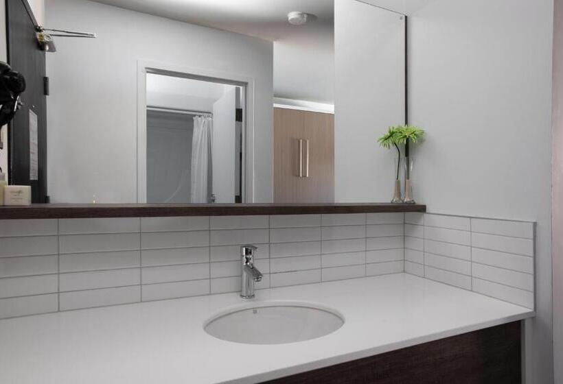 חדר דחוקס עם מיטת קינג, V