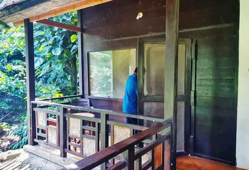 デラックスルーム, Turtle Pond Home Stay