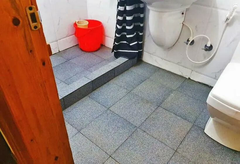 デラックスルーム, Turtle Pond Home Stay