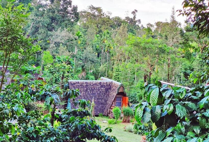 בקתת חדר, Turtle Pond Home Stay