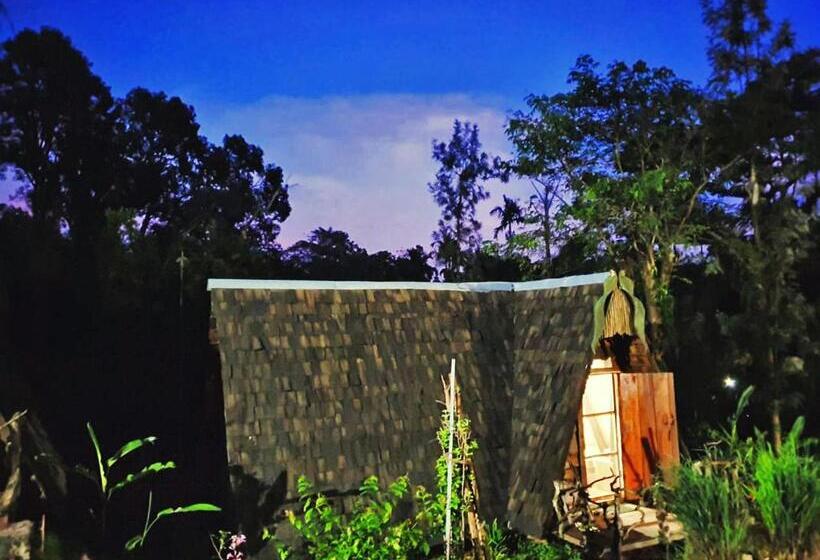 בקתת חדר, Turtle Pond Home Stay