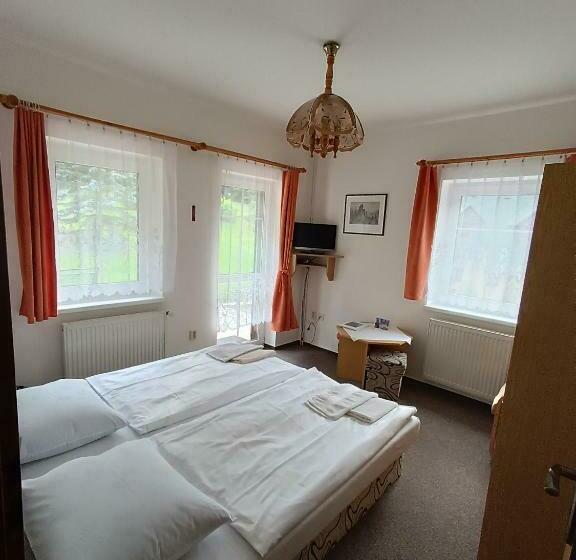 غرفة قياسية, Pension Skály