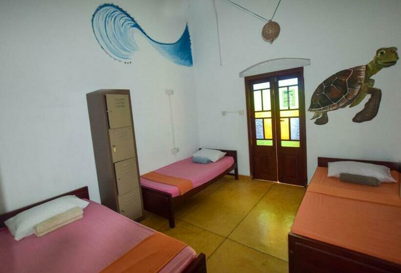 تختخواب در اتاق مشترک, Rockstel Towers Backpacker Hostel