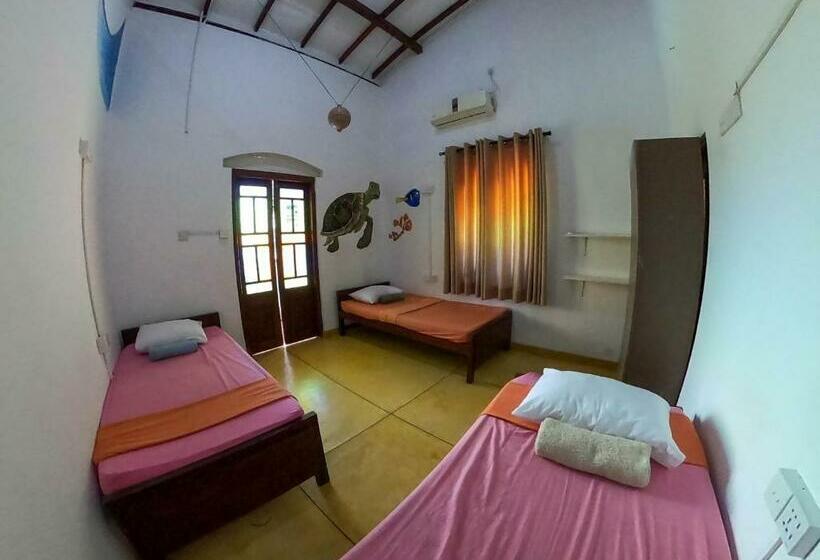 تختخواب در اتاق مشترک, Rockstel Towers Backpacker Hostel