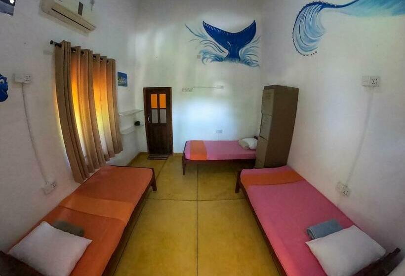 تختخواب در اتاق مشترک, Rockstel Towers Backpacker Hostel