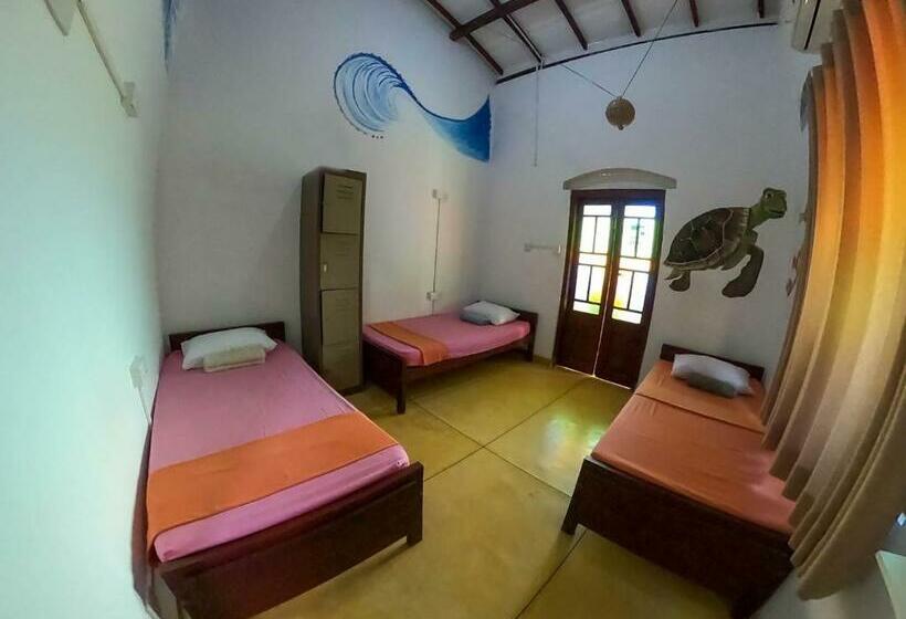 تختخواب در اتاق مشترک, Rockstel Towers Backpacker Hostel