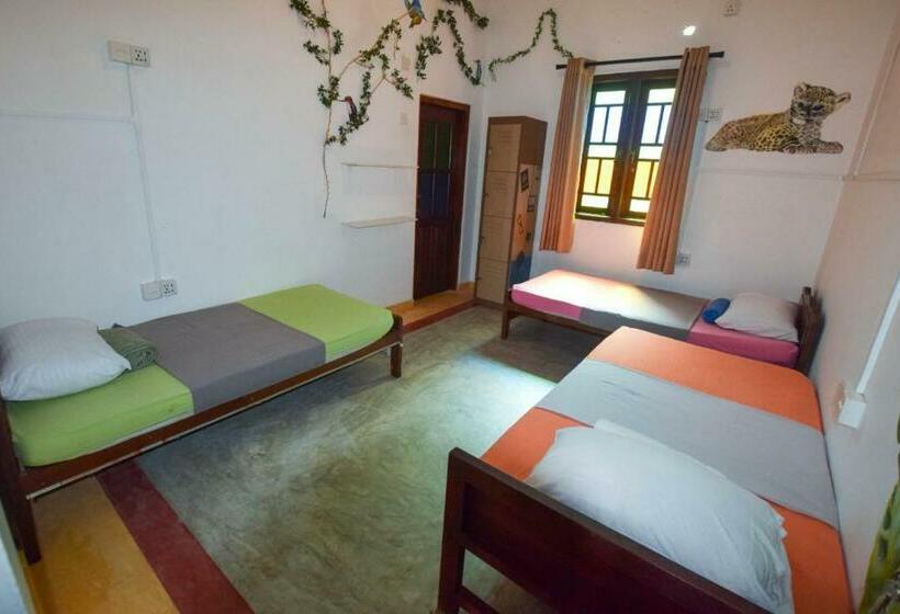 تختخواب در اتاق مشترک, Rockstel Towers Backpacker Hostel