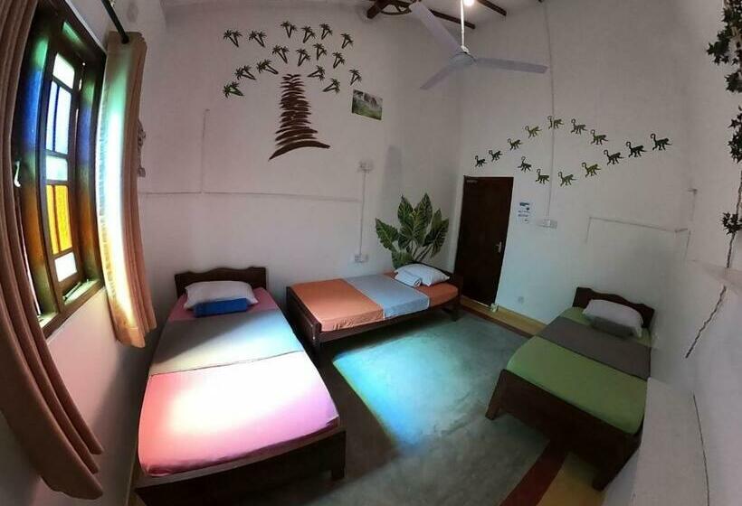 تختخواب در اتاق مشترک, Rockstel Towers Backpacker Hostel