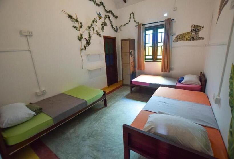 تختخواب در اتاق مشترک, Rockstel Towers Backpacker Hostel