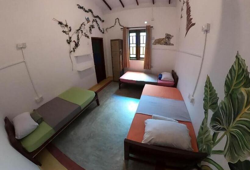 تختخواب در اتاق مشترک, Rockstel Towers Backpacker Hostel