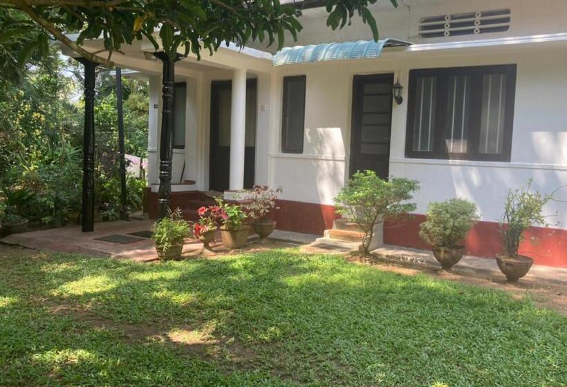 تختخواب در اتاق مشترک, Rockstel Towers Backpacker Hostel