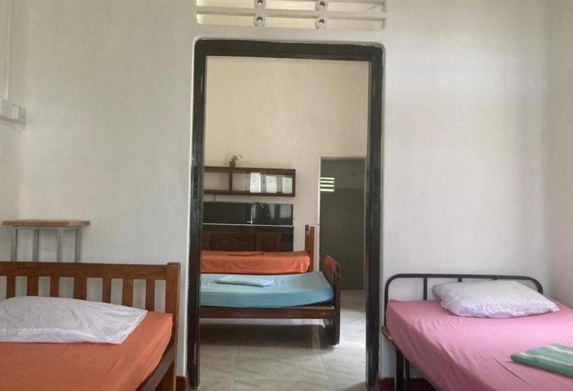 تختخواب در اتاق مشترک, Rockstel Towers Backpacker Hostel