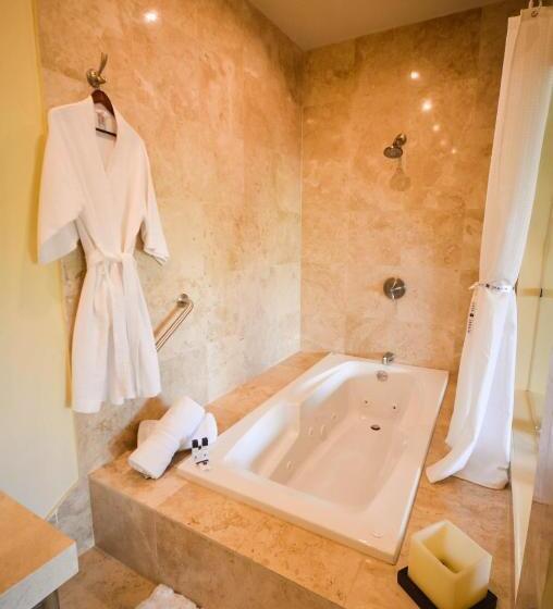 سوییت جونیور, Boutique Casa Del Jardín Aguascalientes