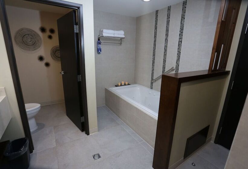 סוויטה, Holiday Inn Express & Suites Mexicali, An Ihg