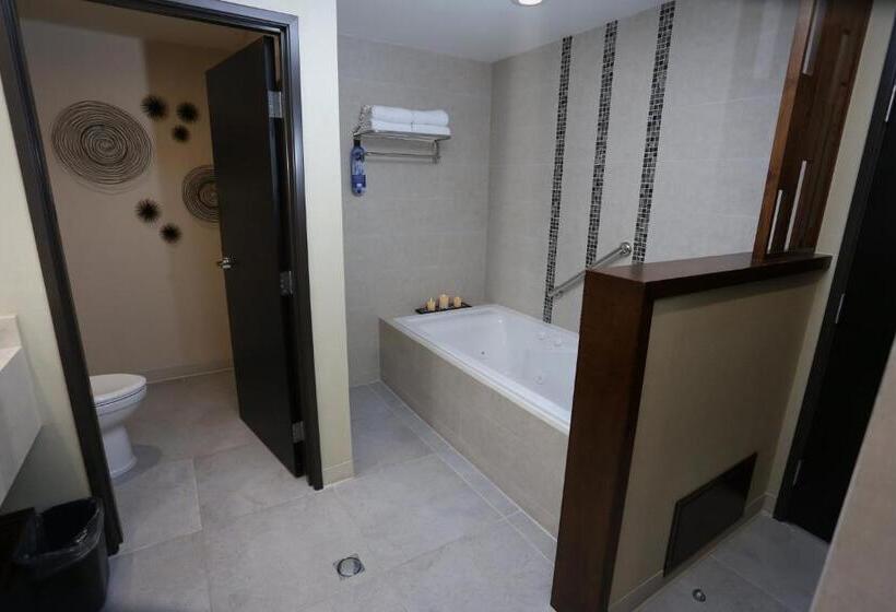 סוויטה, Holiday Inn Express & Suites Mexicali, An Ihg