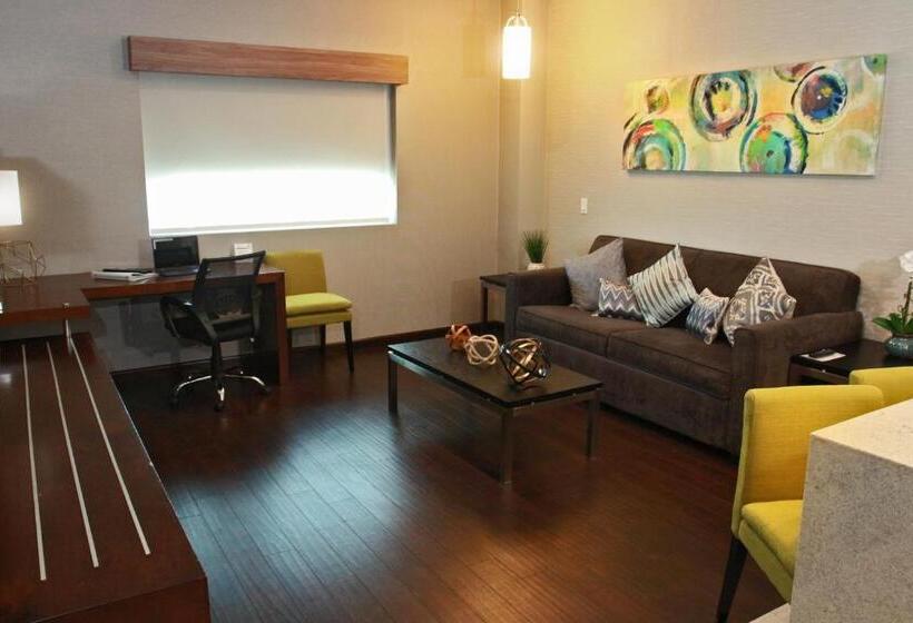 スイート, Holiday Inn Express & Suites Mexicali, An Ihg