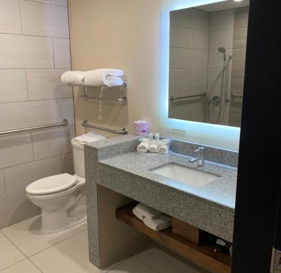 身障者適用キングサイズベッドルーム, Holiday Inn Express & Suites Mexicali, An Ihg