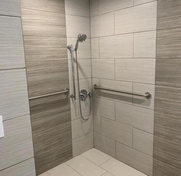 חדר סטנדרט, מיטת קינג, מותאם לאדם עם מוגבלויות, Holiday Inn Express & Suites Mexicali, An Ihg