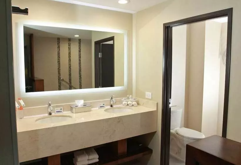 スイート, Holiday Inn Express & Suites Mexicali, An Ihg