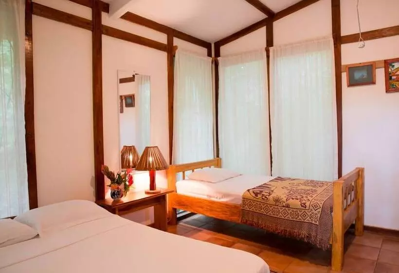 آپارتمان 1 خوابه با چشم‌انداز باغ, Nosara B&b Retreat