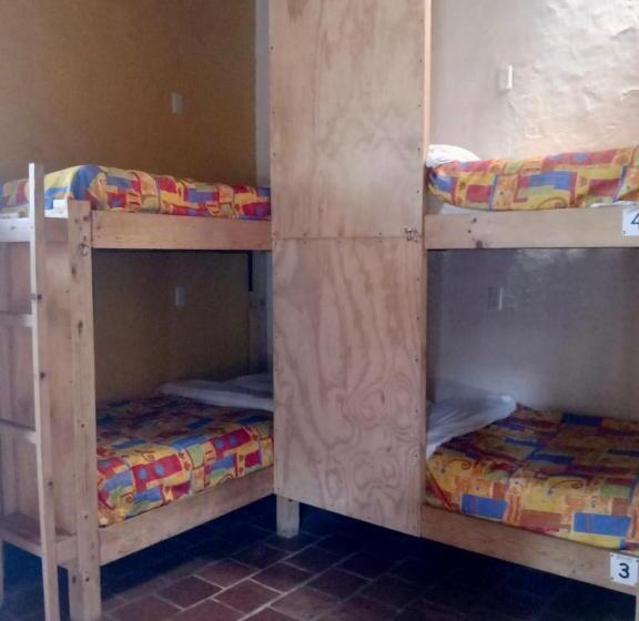 سرير فى غرفة مشتركه, Rossco Backpackers Hostel