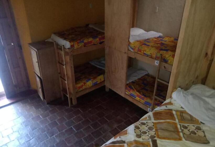 سرير فى غرفة مشتركه, Rossco Backpackers Hostel