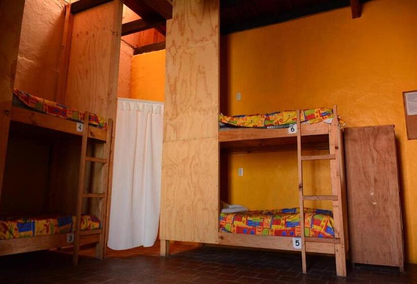 سرير فى غرفة مشتركه, Rossco Backpackers Hostel