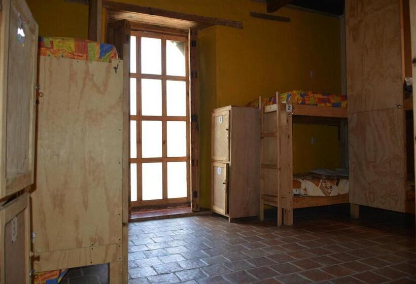 سرير فى غرفة مشتركه, Rossco Backpackers Hostel