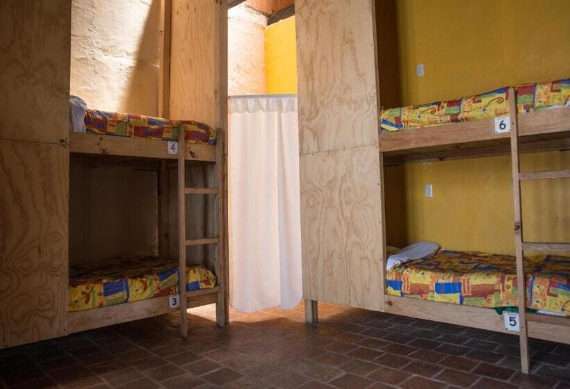 سرير فى غرفة مشتركه, Rossco Backpackers Hostel