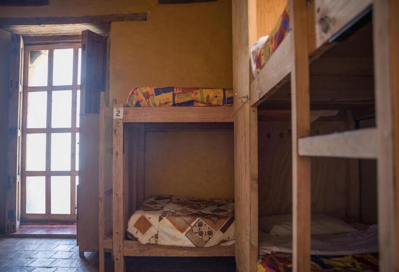 سرير فى غرفة مشتركه, Rossco Backpackers Hostel