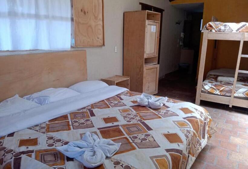 غرفة قياسية رباعية, Rossco Backpackers Hostel