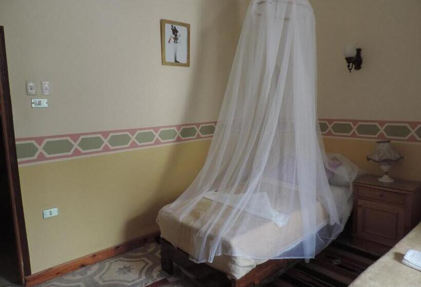 اتاق استاندارد, Villa Nile House Luxor