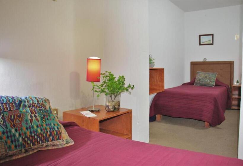 Номер Стандарт, Hostel Lit Guadalajara