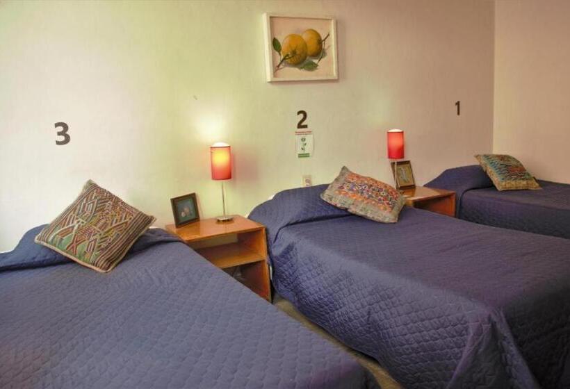 ルームシェアのワンベッド, Hostel Lit Guadalajara