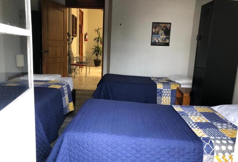 Кровать в Общей Комнате, Hostel Lit Guadalajara