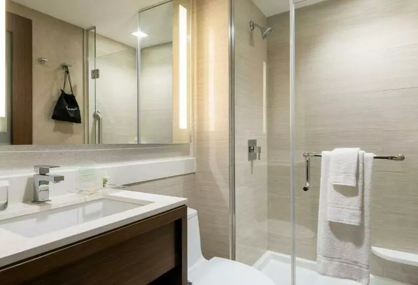 Standard-huone, Holiday Inn Brooklyn Downtown, An Ihg