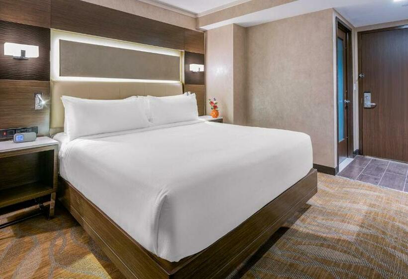 标准间, Holiday Inn Brooklyn Downtown, An Ihg
