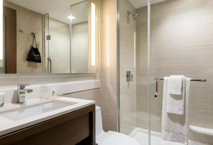 Standard-huone 2 Parivuodetta, Holiday Inn Brooklyn Downtown, An Ihg