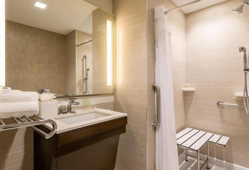 适合残疾人士使用的带超级大床的标准间, Holiday Inn Brooklyn Downtown, An Ihg