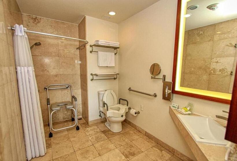 キングサイズベッドのスタンダードルーム, Holiday Inn Huatulco, An Ihg