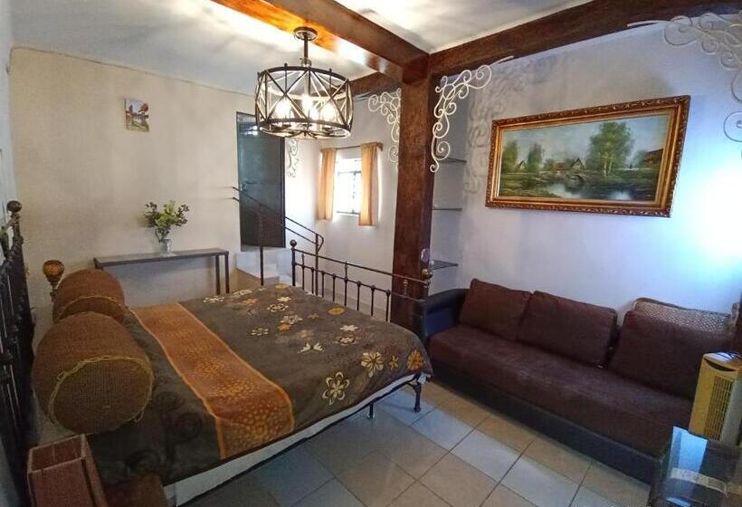 高级房间带漩涡浴缸, Posada Spa Antigua Casa Hogar