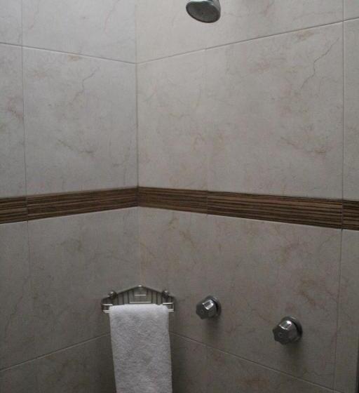 חדר סטנדרט עם מיטת קינג, Real Zapopan