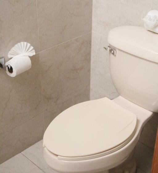 غرفة قياسية, Real Zapopan