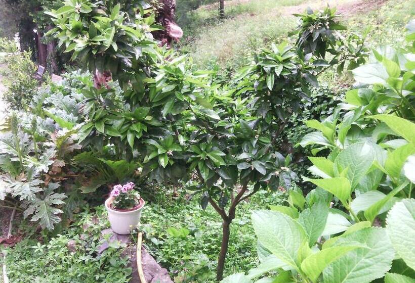 Номер Стандарт, Chambres D Hôtes La Fouquette