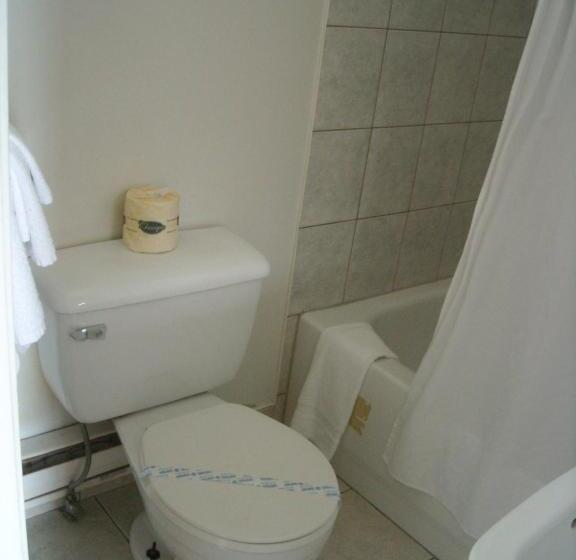 Люкс Повышенной Комфортности, Grand Motel Saint Hubert